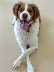 daycare pic 42 - Dan